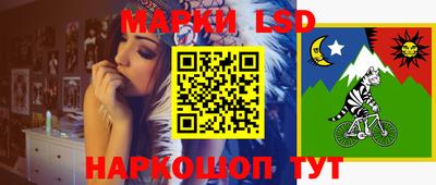 спиды Камышлов