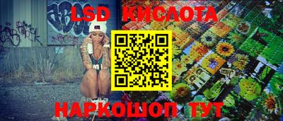 спиды Камышлов