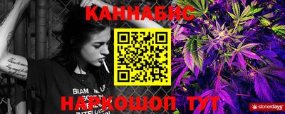 спиды Камышлов
