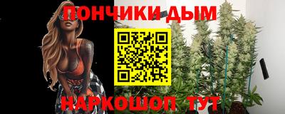 шишки Канаш