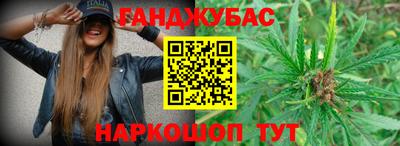 спиды Камышлов