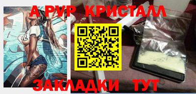 спиды Камышлов