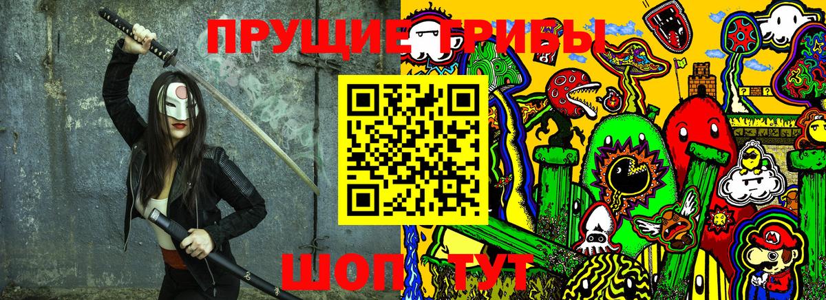 Королёв  Галлюциногенные грибы Cubensis  Вход с VPN 