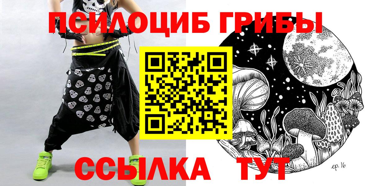 Псилоцибиновые грибы мицелий Королёв